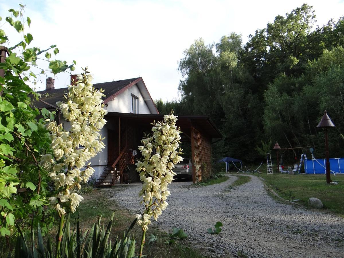 Dom Na Wzgorzu Lägenhet Gorlice Exteriör bild