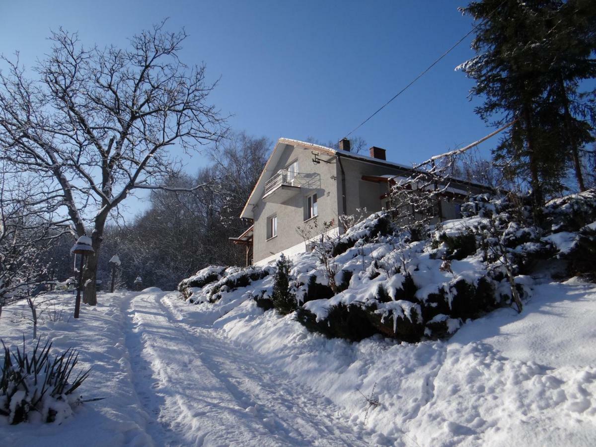 Dom Na Wzgorzu Lägenhet Gorlice Exteriör bild